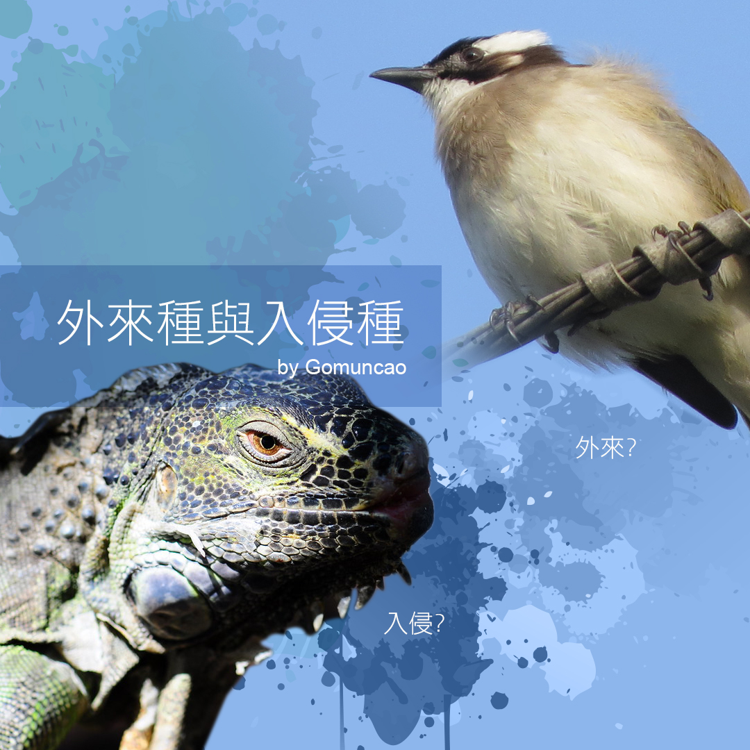 外來種與入侵種　外來？入侵？