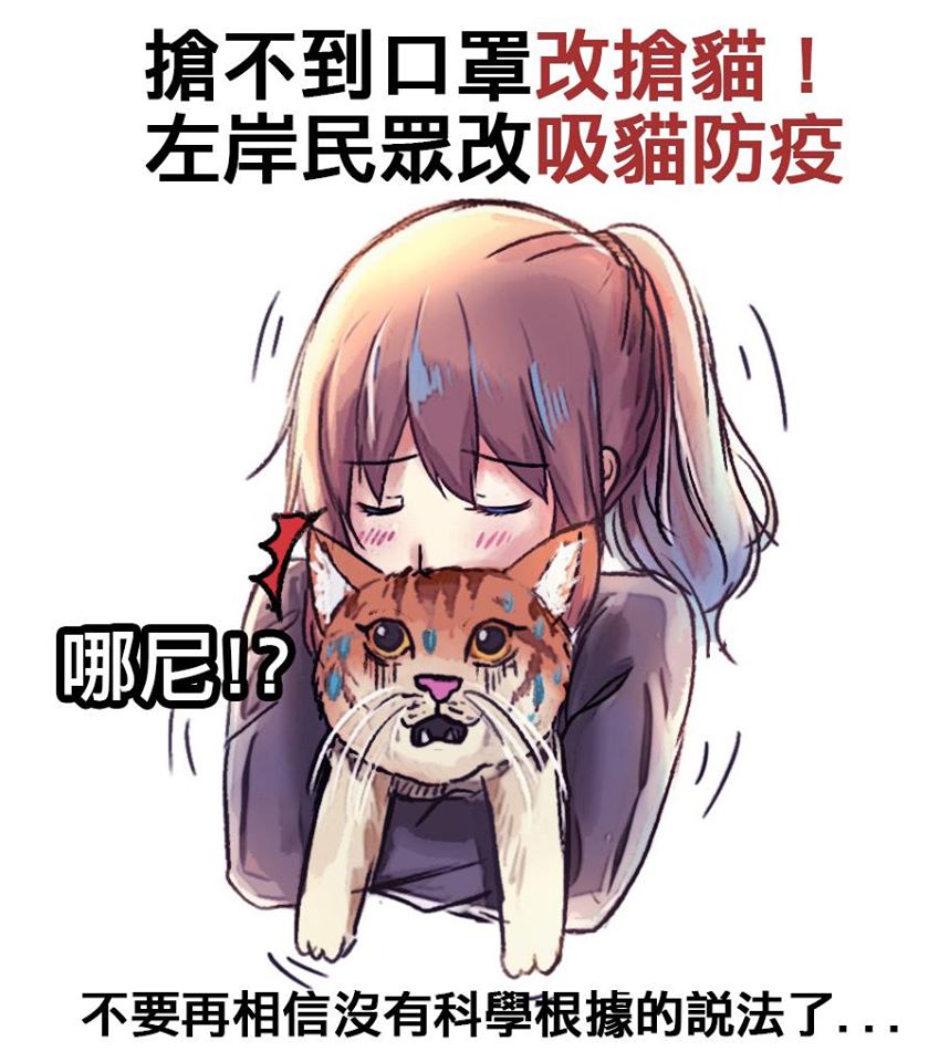 沒有口罩改吸貓？中國竟謠傳吸貓可防疫