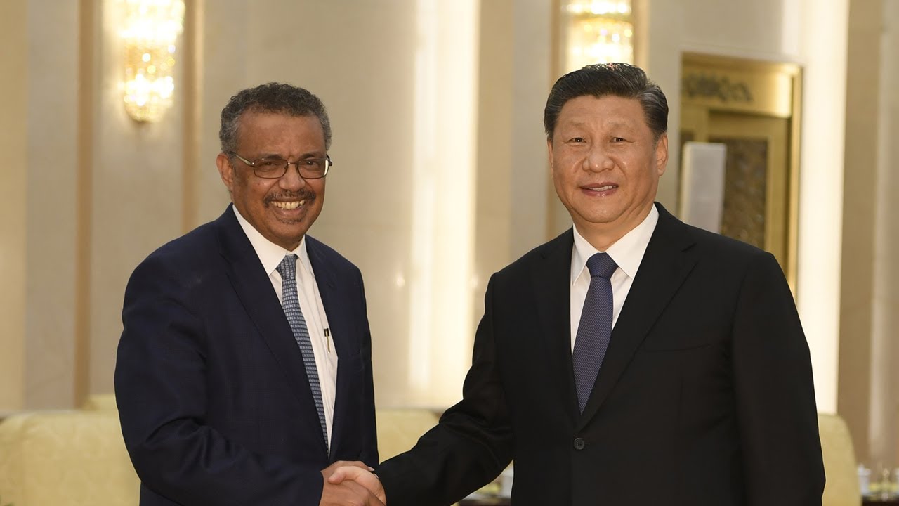 歐洲高級官員:將與美國一起重建WHO
