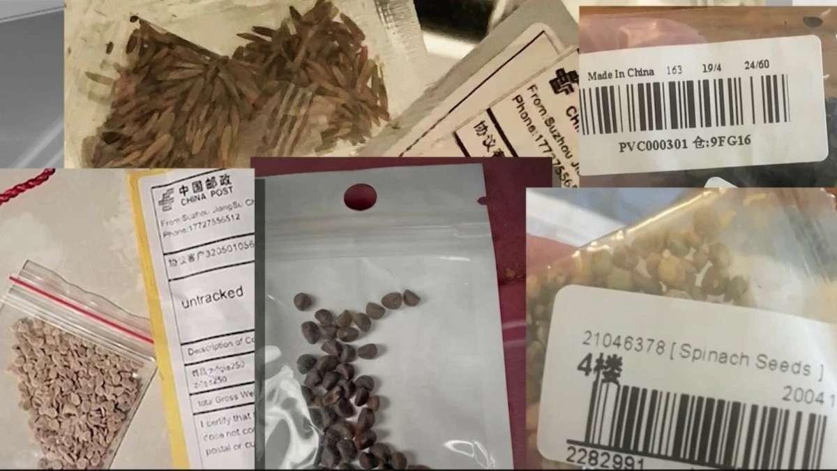 美國農業部呼籲不要種植來自中國不明種子