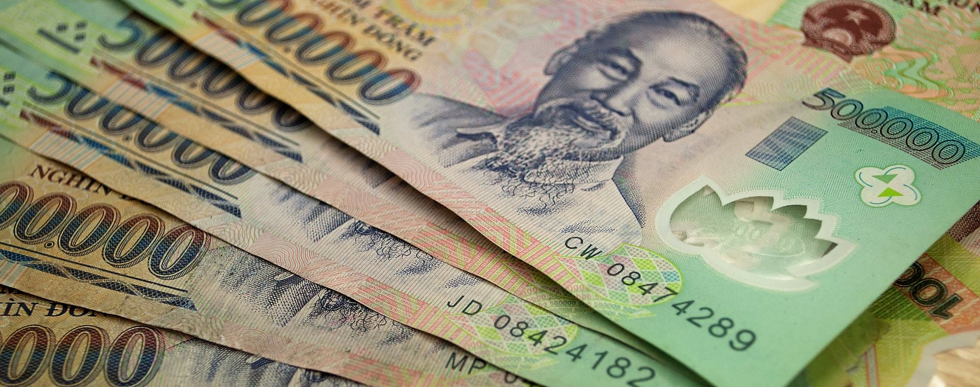 美國調查越南是否操縱貨幣及非法伐木　