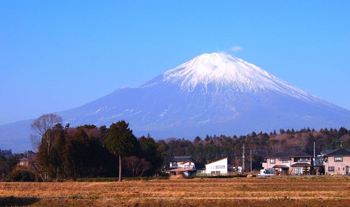 不知土地被誰買走　日本嚴肅思考外資收購土地相關立法