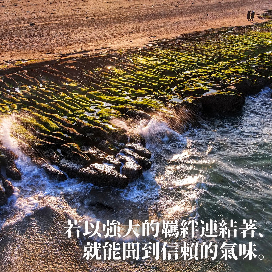 【陳奕齊】若以強大的羈絆連結著　就能聞到信賴的氣味