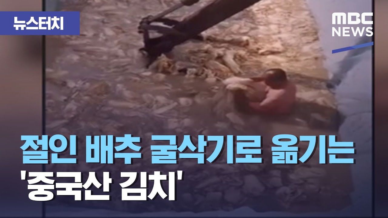 中國裸身醃漬泡菜影片造成韓國衝擊　中製泡菜進口量銳減