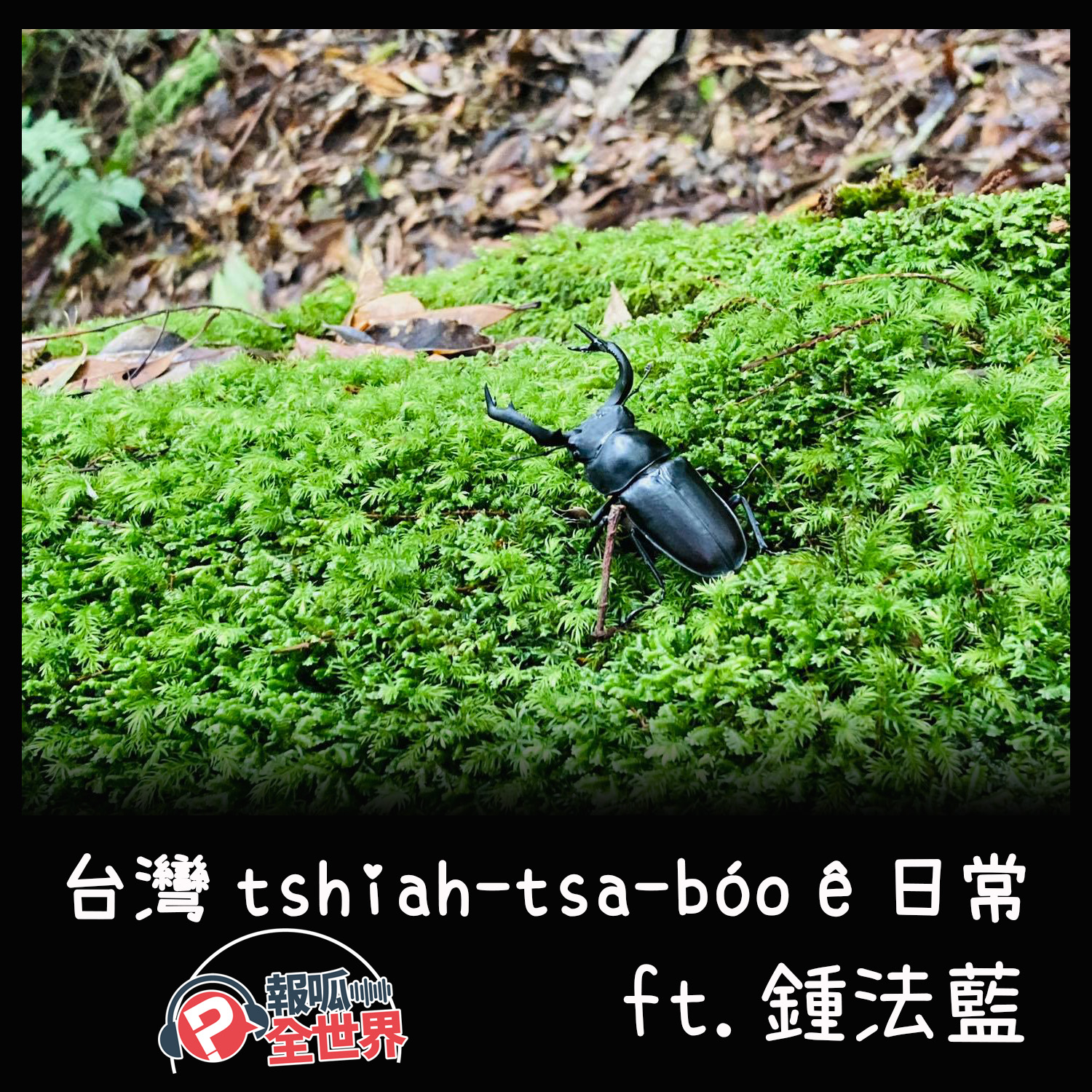 【報呱全世界】EP113 台灣 tshiah-tsa-bóo ê 日常 ft.鍾法藍