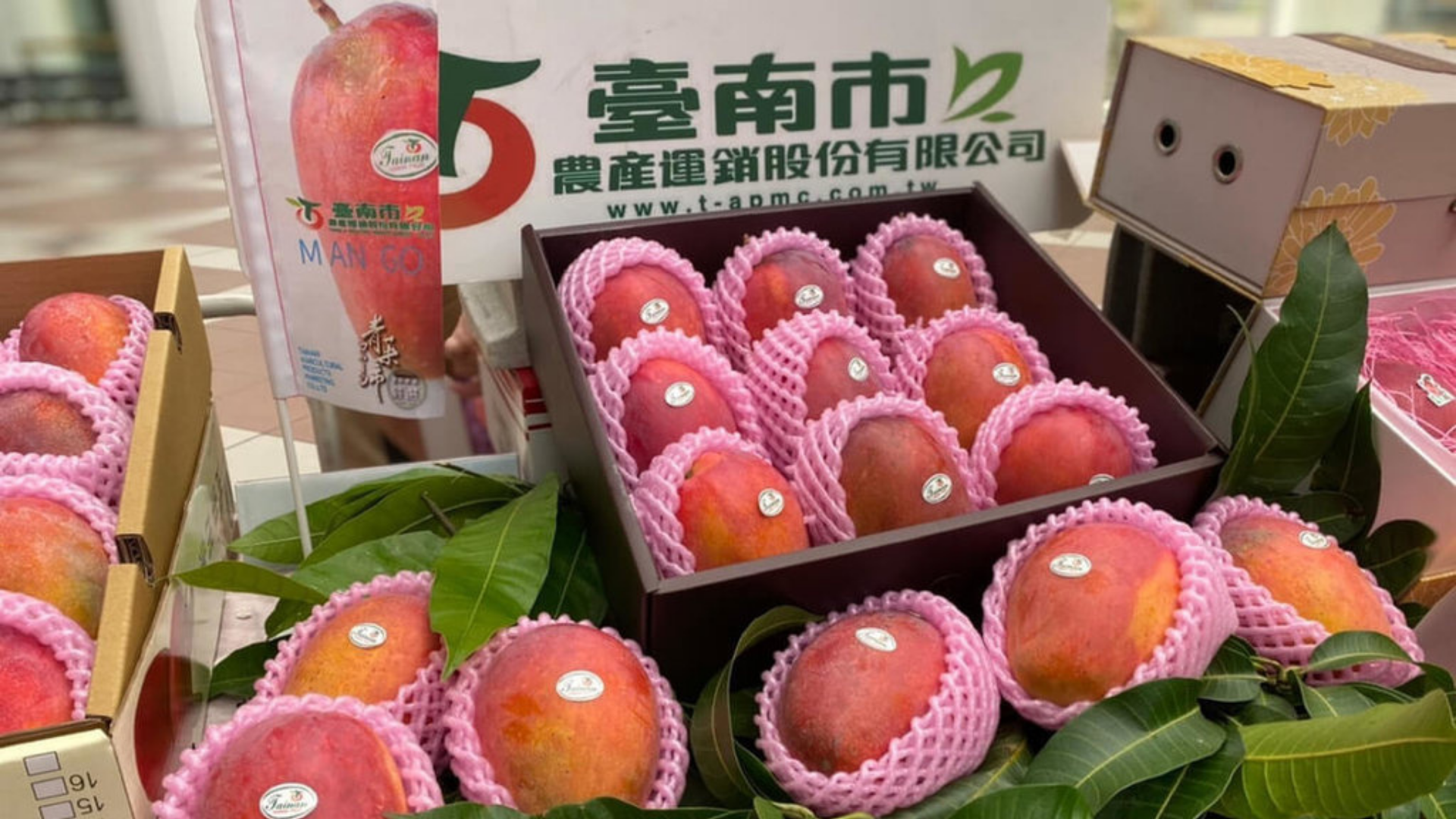 台灣農漁產被中國惡搞還談海峽、雙城論壇？
