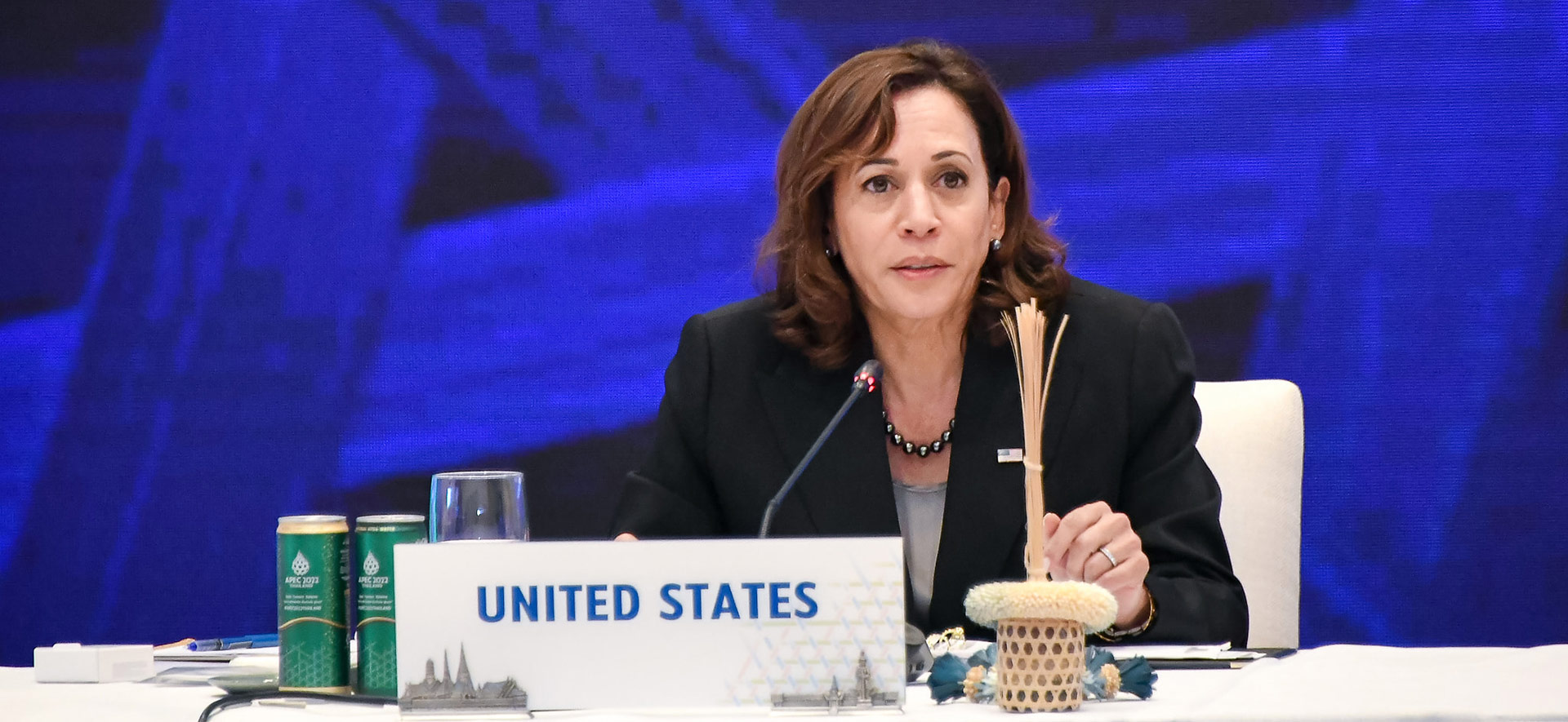 曼谷APEC：烏克蘭、台灣、朝鮮問題熱議　賀錦麗保證：美國會待在這裡
