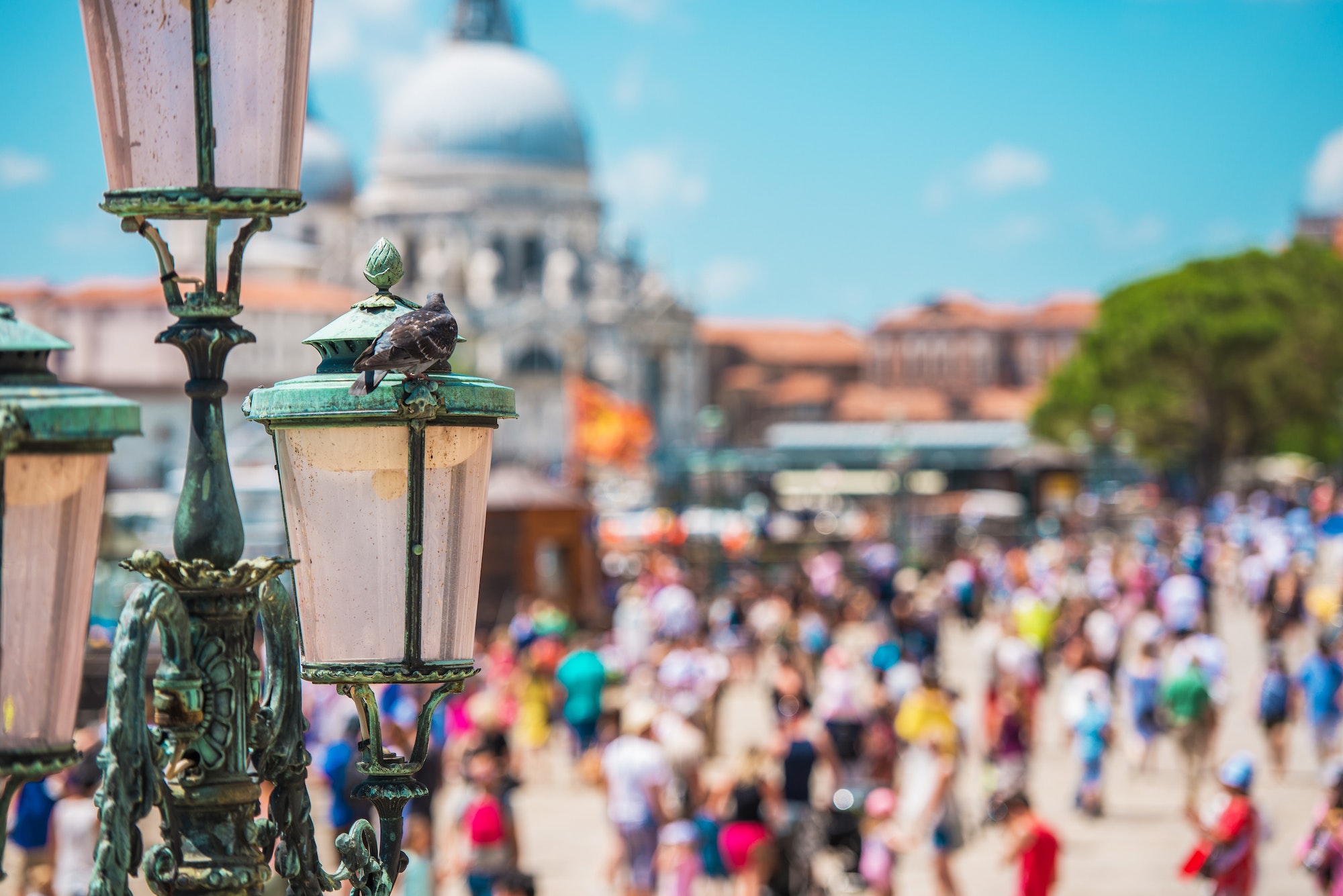 Peak Season in the Venice