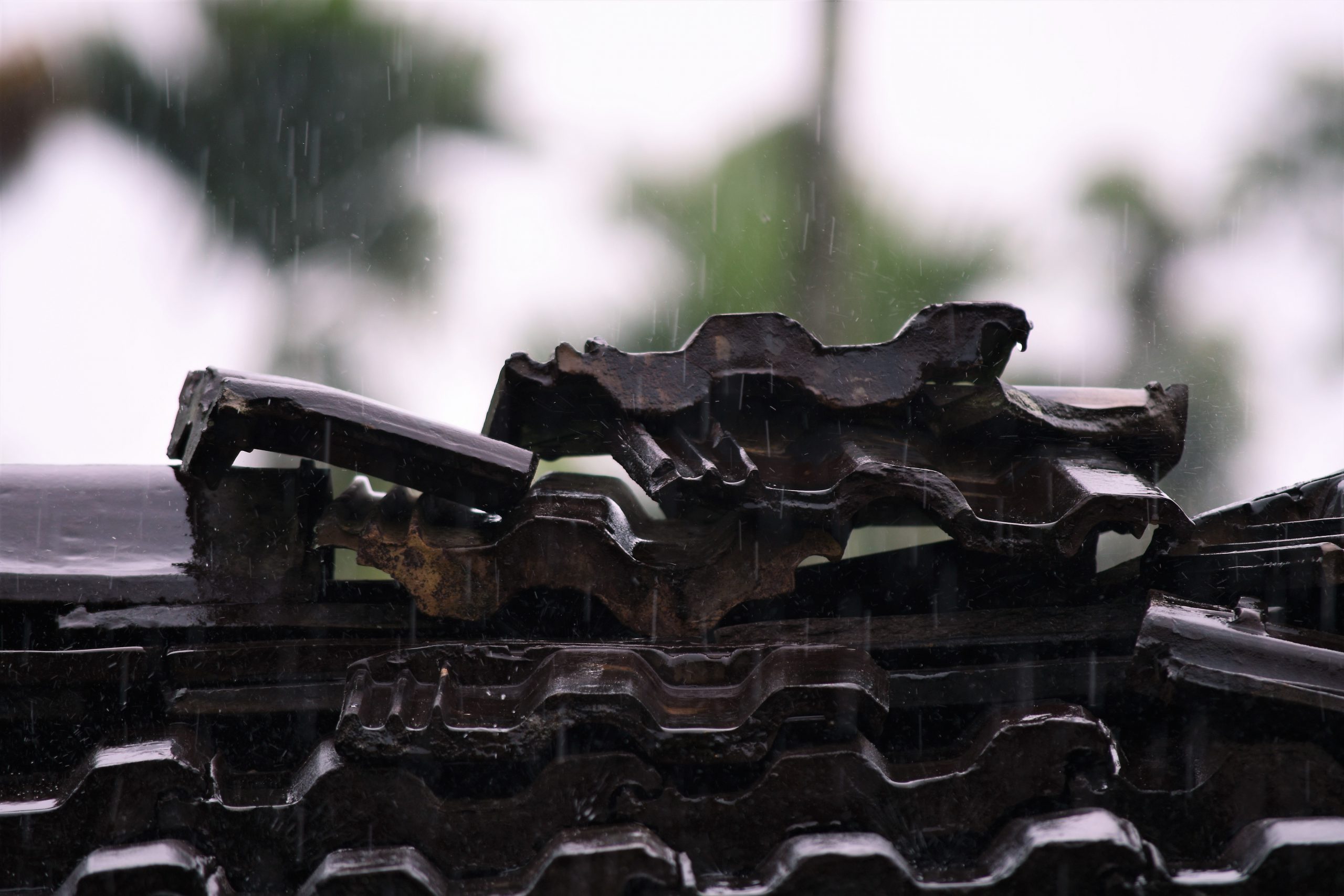 【陳竹奇】下雨天　真好